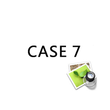 case 7